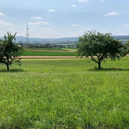 Timeout Westerwald *